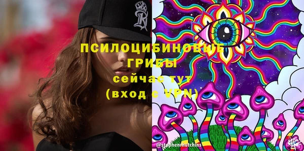 прущие крисы Алексин