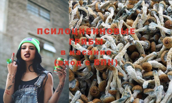 прущие крисы Алексин