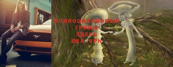 a pvp Алзамай