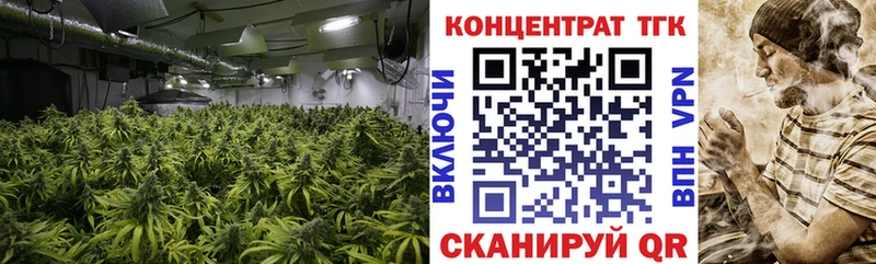 ТГК THC oil Вилючинск